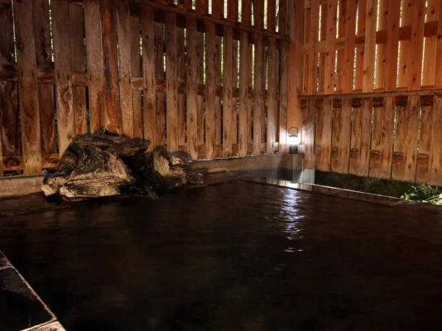 やすらぎと情感の宿 水清館 - 栃木県