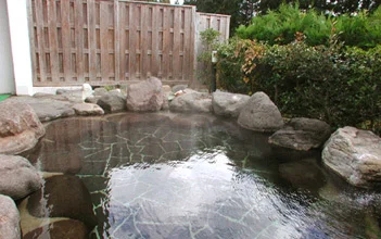 Nasushiobara Hot Spring Pet-Friendly Hotel Foresta - Tochigi