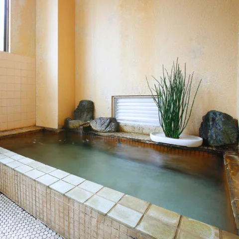 Shio no Yu Hashimoto-ya Ryokan - Tochigi
