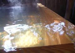 Nasu Hot Spring Small Onsen Inn Shippoya - Tochigi