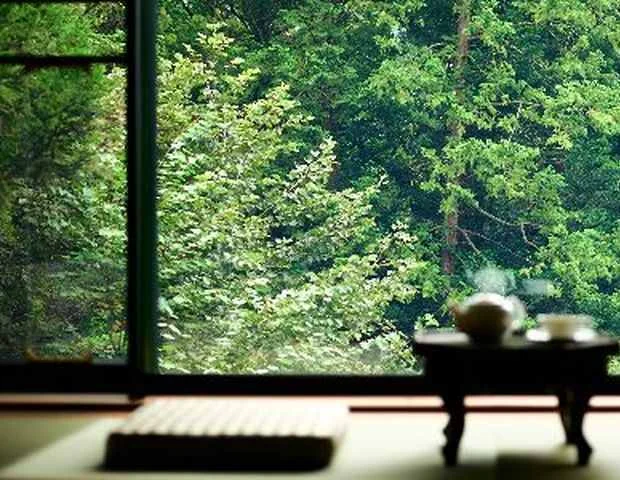 ふふ 日光