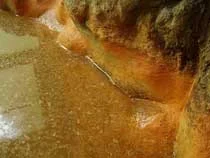 柳沢鉱泉 清水屋(閉館しました)