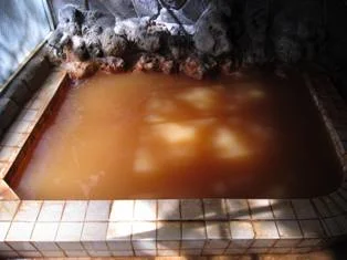 柳沢鉱泉 清水屋(閉館しました)