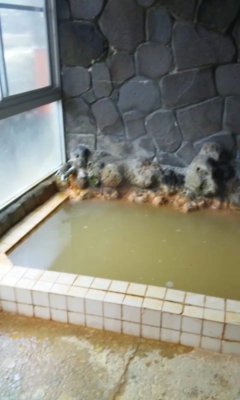 柳沢鉱泉 清水屋(閉館しました)