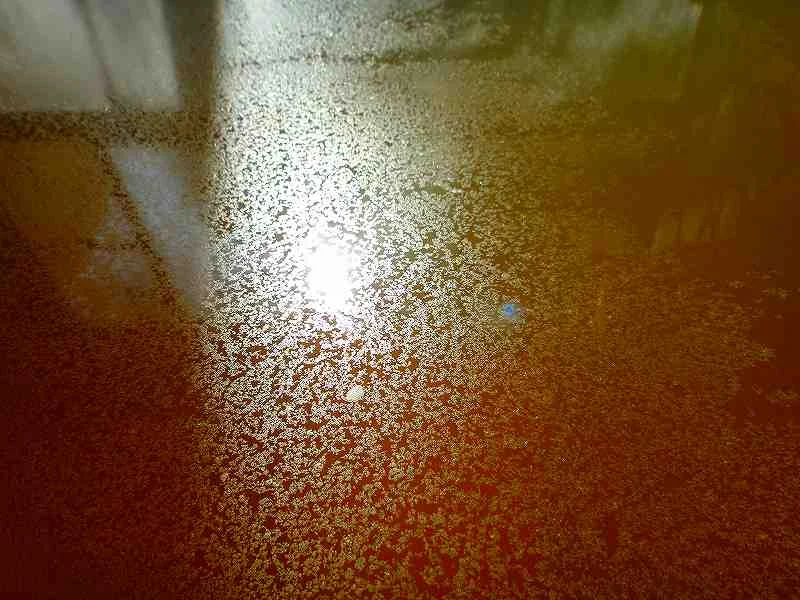 柳沢鉱泉 清水屋(閉館しました)