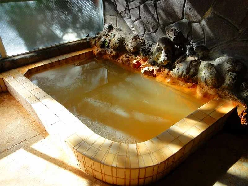 柳沢鉱泉 清水屋(閉館しました)