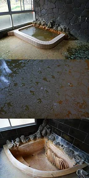 柳沢鉱泉 清水屋(閉館しました)