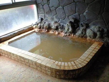 柳沢鉱泉 清水屋(閉館しました)