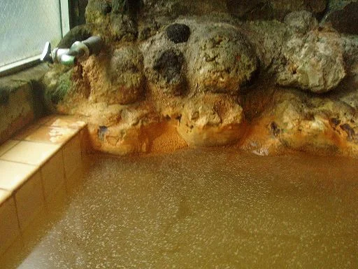 柳沢鉱泉 清水屋(閉館しました)