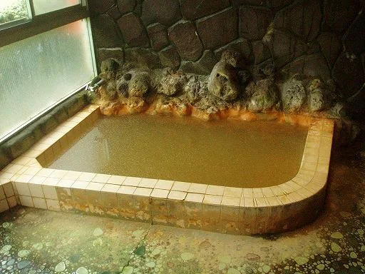 柳沢鉱泉 清水屋(閉館しました)