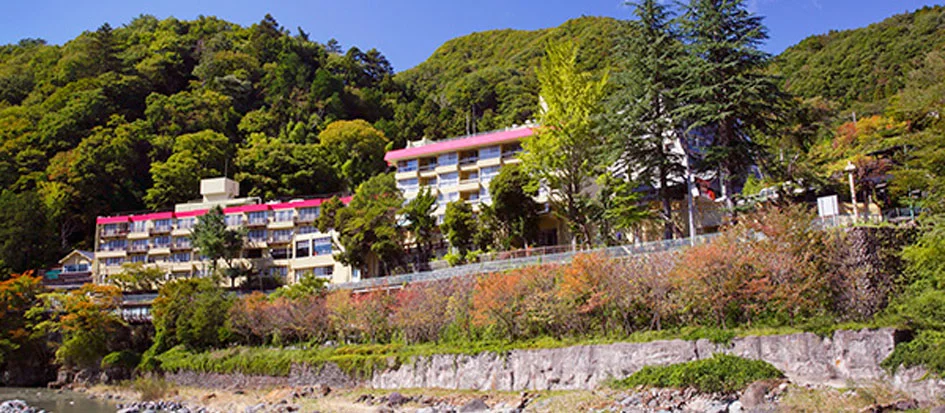 トップメイン画像1