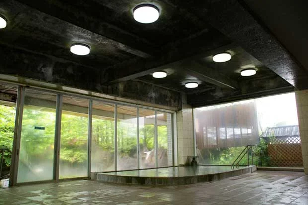 那須ニューパレスホテル(閉館しました)