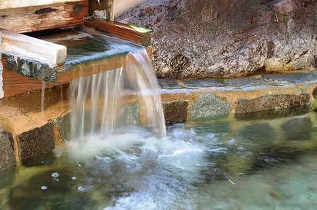 那須ニューパレスホテル(閉館しました)