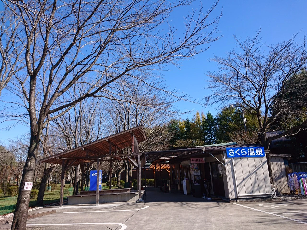 さくら温泉