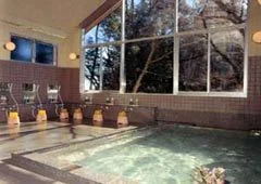 梅屋敷旅館 - 日光 - 栃木県