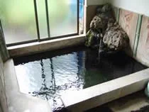 奥塩原温泉 河童(休館中)