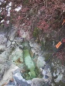 湯西川温泉 薬研の湯(閉館しました)