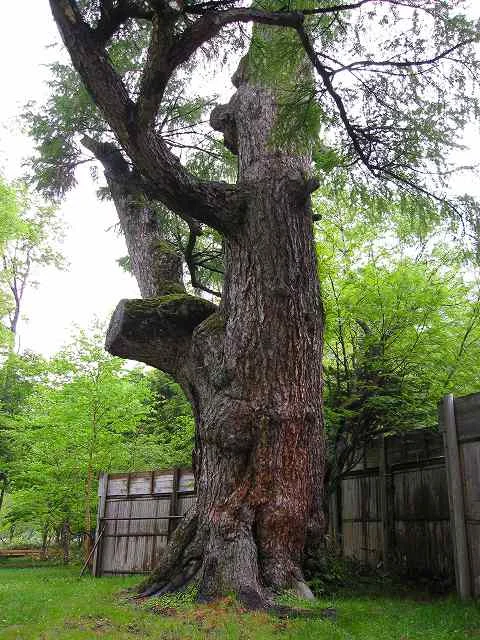 休暇村日光湯元