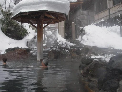 大丸温泉旅館(おおまる)