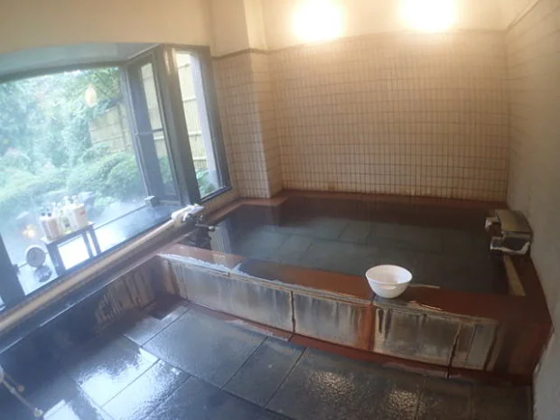 那須湯菜の宿 芽瑠鼓(閉館しました)