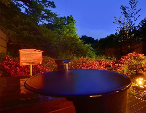 那須湯菜の宿 芽瑠鼓(閉館しました)