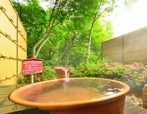 那須湯菜の宿 芽瑠鼓(閉館しました)