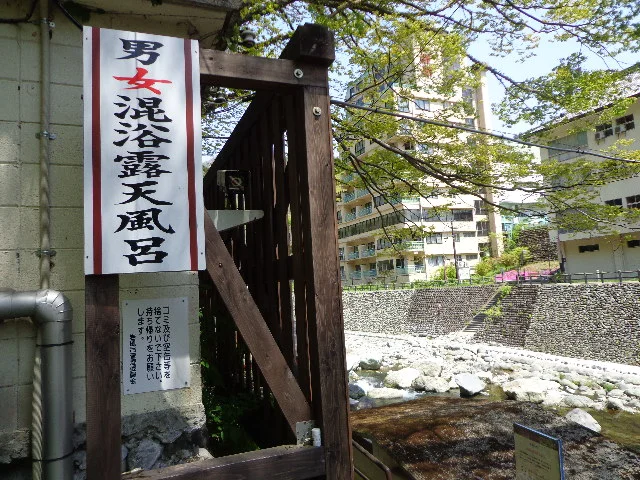 川治温泉 薬師の湯