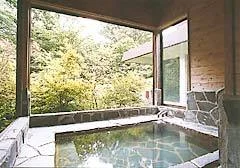 Nasu Onsen Pension Ichinen-Ikumi - Tochigi