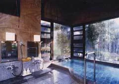 川治温泉　金型かわじ荘 - 栃木県