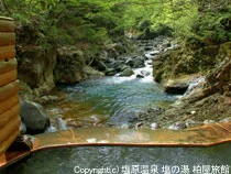 塩原温泉 塩の湯 柏屋旅館