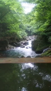 塩原温泉 塩の湯 柏屋旅館