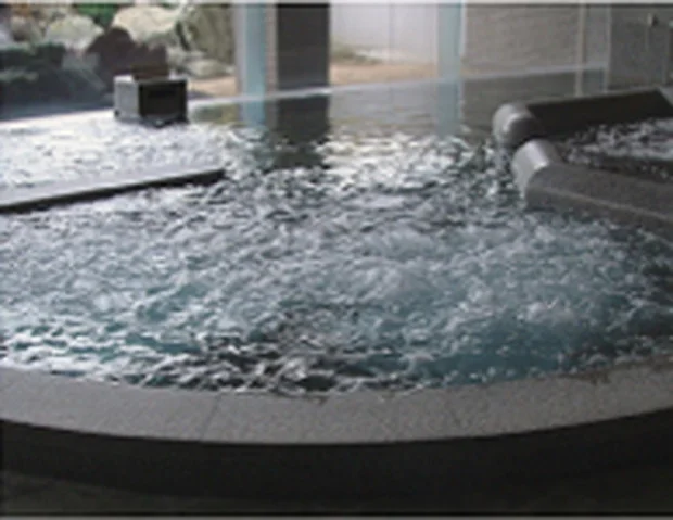 真岡井頭温泉(閉館しました)