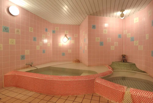 鬼怒川温泉 ペット同室宿泊パイオニアの宿 きぬ川国際ホテル - 栃木県