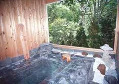 Kusatsu Onsen Segawa Pension - Gunma