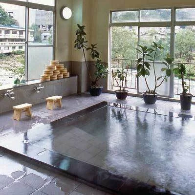 Minakami Onsen Oyado Matsubaya - Gunma