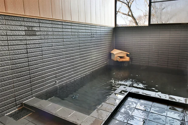 Shiogahara Onsen Yumoto Honke Miyatakan - Gunma