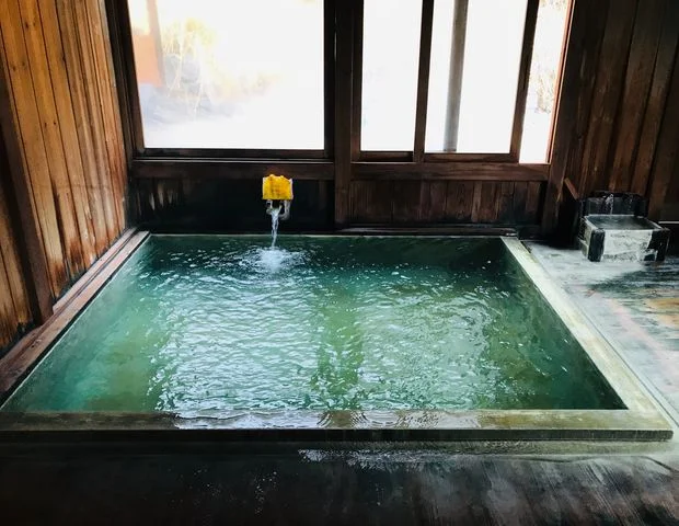 山の宿 野中温泉(旧 民営国民宿舎野中温泉別館)