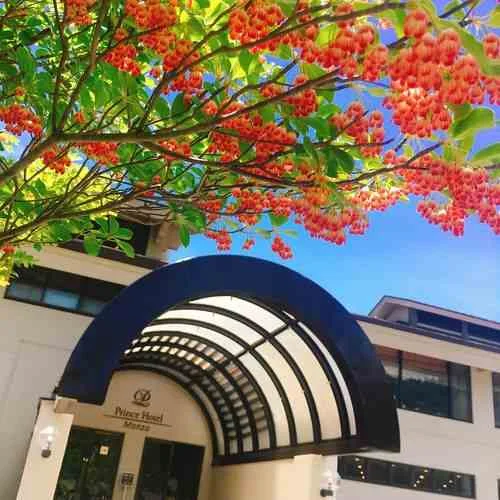 フォトアルバム4