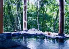 湯の小屋温泉 民宿 やぐら - 群馬県