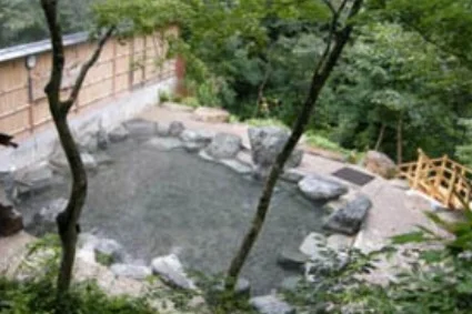 湯テルメ 谷川(閉館しました)