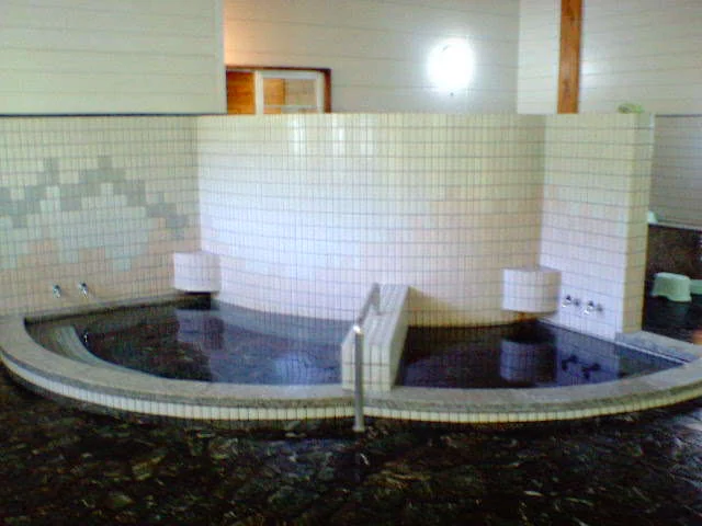 湯テルメ 谷川(閉館しました)