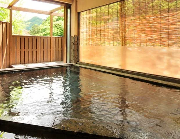 鹿覗キセキノ湯 つるや(旧 四万温泉 鹿覗きの湯鶴屋)