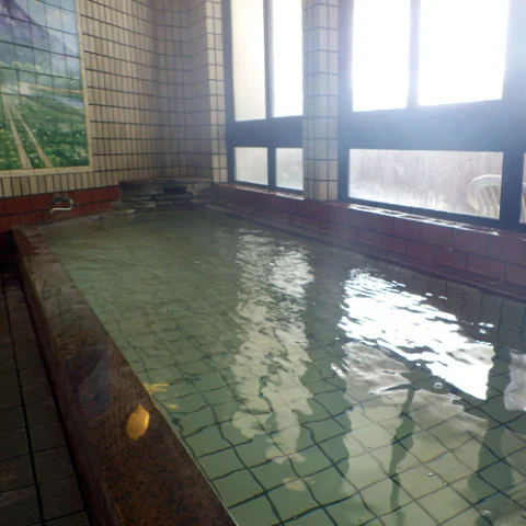 尾瀬戸倉温泉　尾瀬の宿　いさ - 群馬県