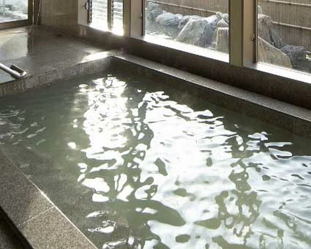 老神温泉 東明館（おいがみ とうめいかん）