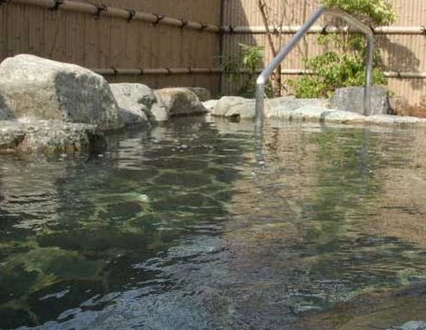 老神温泉 東明館（おいがみ とうめいかん）