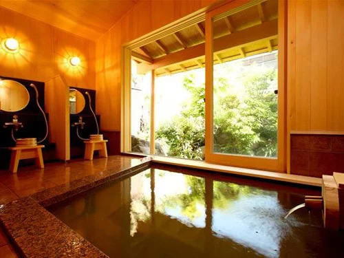 伊香保温泉 松本楼 洋風旅館ぴのん - 群馬県