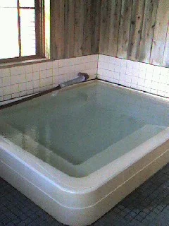 林温泉 かたくりの湯
