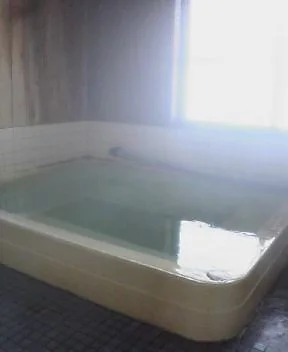 林温泉 かたくりの湯