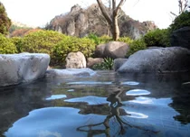 あづま温泉　息吹の湯　桔梗館