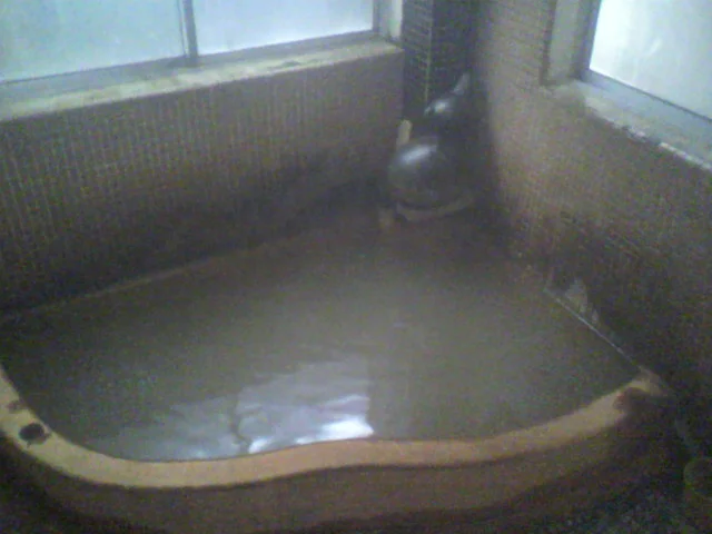 柏屋旅館(閉館しました)